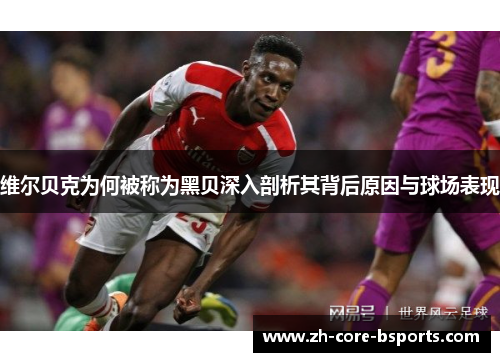 维尔贝克为何被称为黑贝深入剖析其背后原因与球场表现