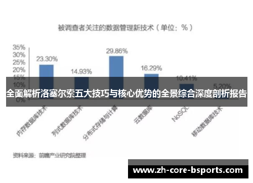 全面解析洛塞尔索五大技巧与核心优势的全景综合深度剖析报告