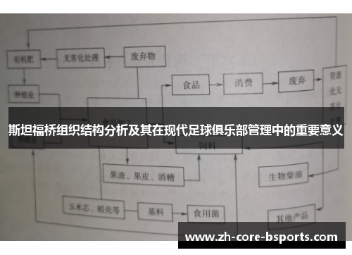 斯坦福桥组织结构分析及其在现代足球俱乐部管理中的重要意义