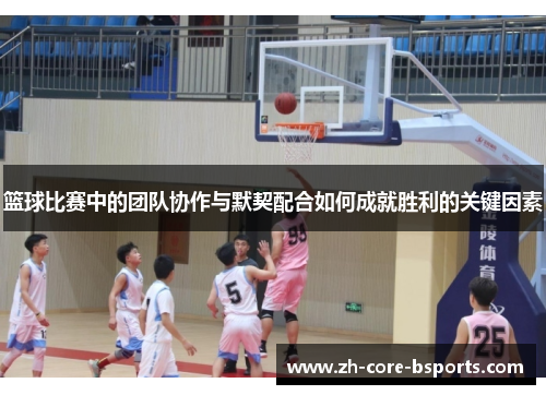 篮球比赛中的团队协作与默契配合如何成就胜利的关键因素