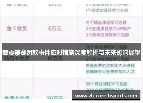 魏震禁赛罚款事件应对措施深度解析与未来影响展望 魏震禁赛罚款事件应对措施深度解析与未来影响展望